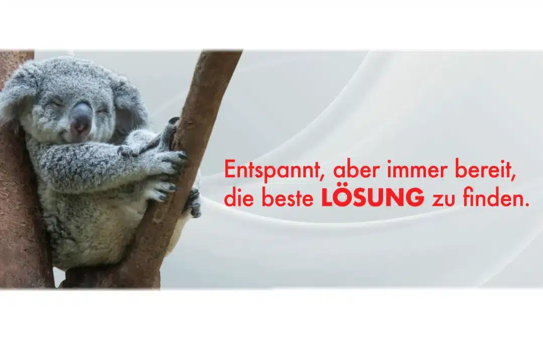 Wir wünschen ein erfolgreiches Jahr 2026